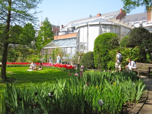 Antwerp Botanical Garden Image