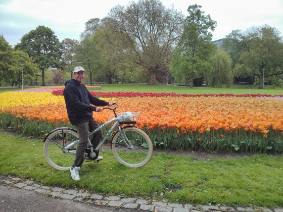My dad with the tulips