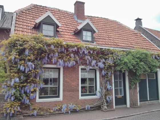 We walked back through the village and the houses were all so beautiful!