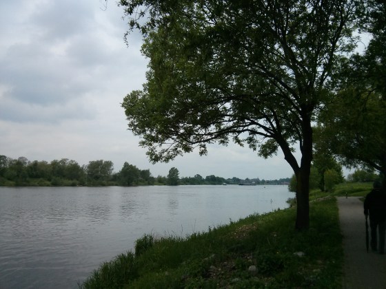 Maas River