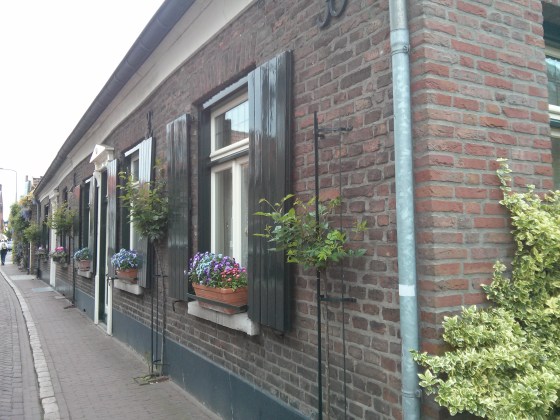 Houses in the village