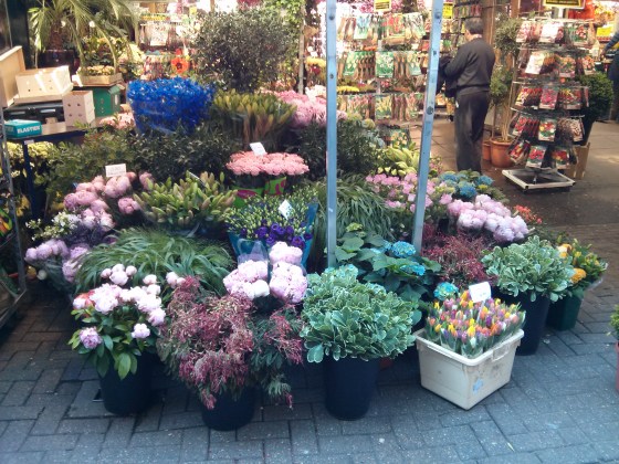The Bloemenmarkt, the world's only floating Flower Markt - my parents bought me the tulips in the lower righthand corner!
