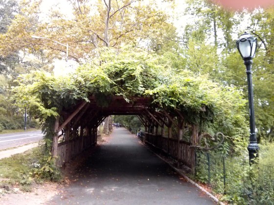 Biking through Central Park