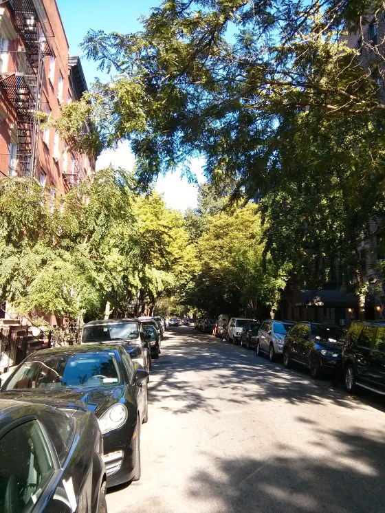 A street in Greenwich Village