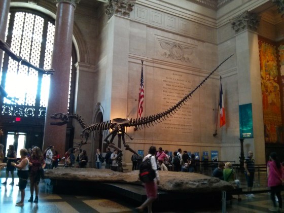 Theodore Roosevelt Rotunda