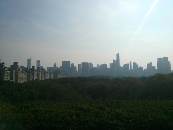 View from the top of the Met