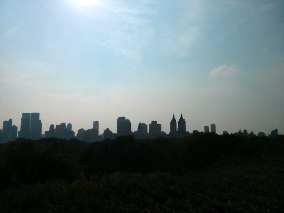 View from the top of The Met
