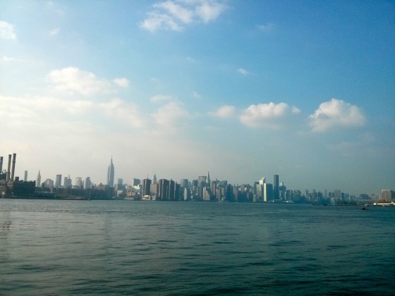 View of Manhattan from the Williamsburg Park