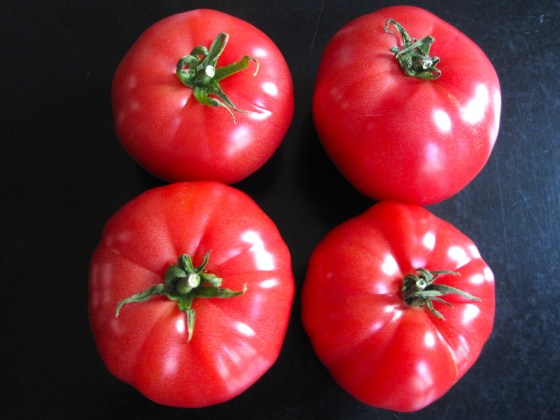 Juicy, Belgian tomatoes
