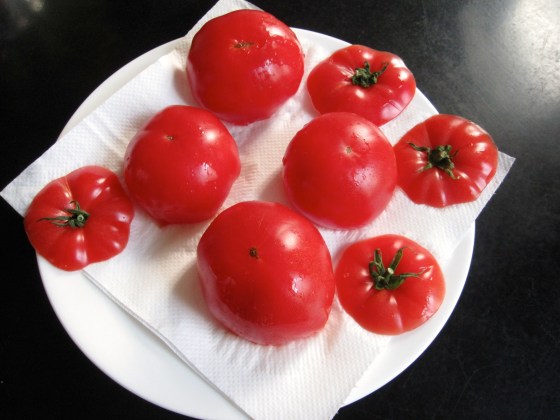 After hollowing out the tomatoes, I let them dry off on top of a paper towel