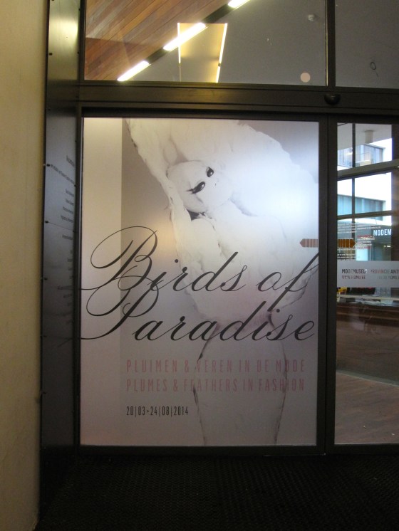 MOMU: Birds of Paradise