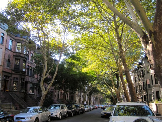 Walking through Park Slope to get breakfast