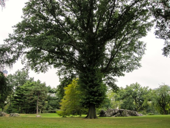 Found the perfect picnic spot