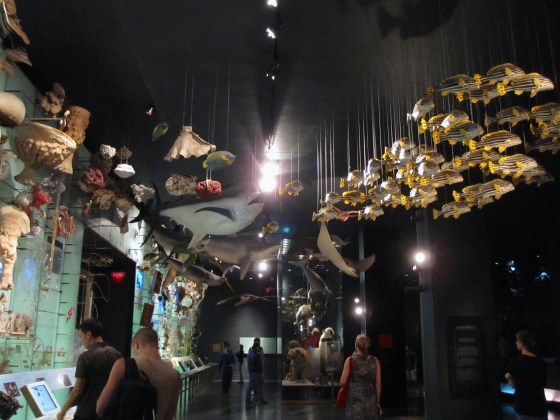 Hall of Biodiversity