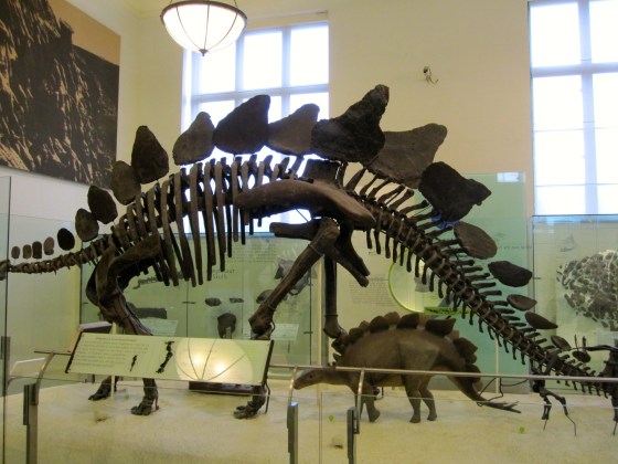 Stegosaurus