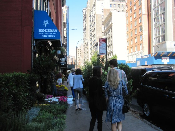 Exploring the Chelsea Flower Market