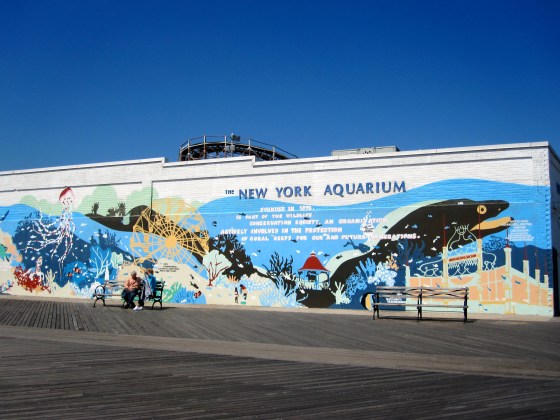 New York Aquarium Mural