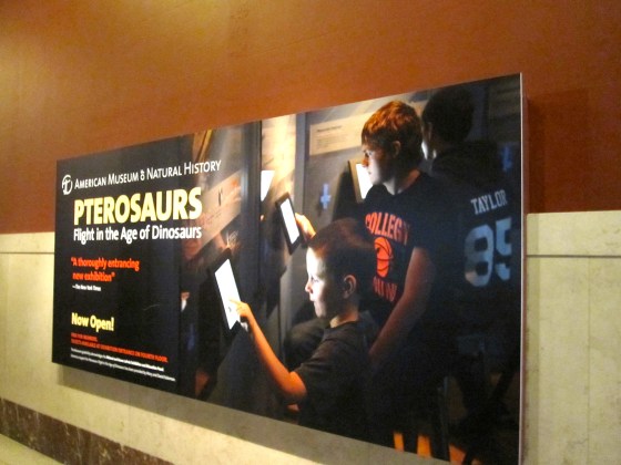 Pterosaurs: Flight in the Age of Dinosaurs