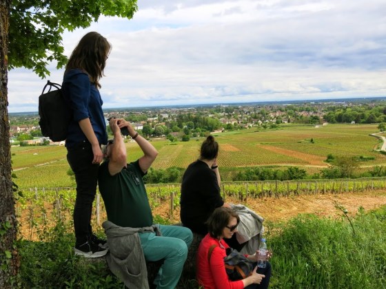 Enjoying the different views