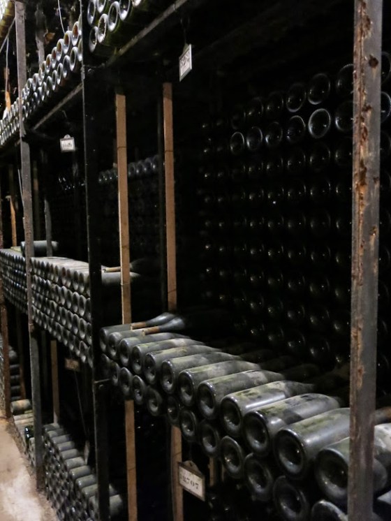 Underground exploring 