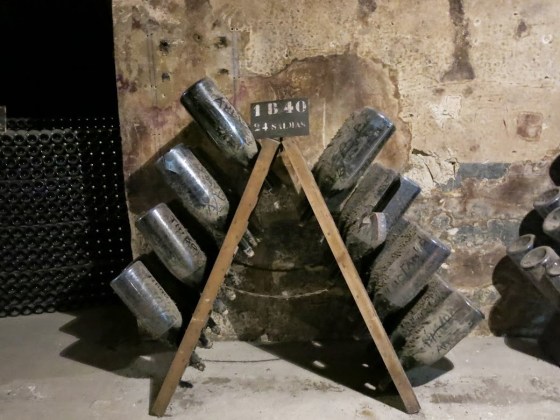 All of the big bottles!