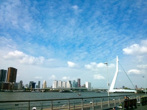 View of the Erasmus Bridge which we just biked over from the Wilhelmina Pier 