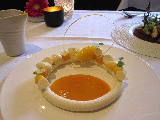 My Dessert: Soleil, a ring from vanilla panna cotta with accents of exotic fruit and white chocolate