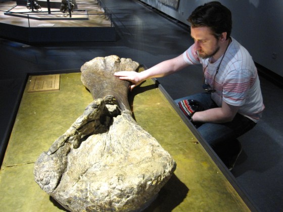 Touching a dinosaur arm bone