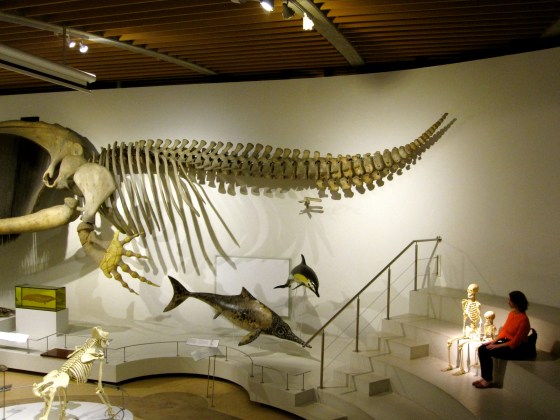 And me sitting with skeletons!