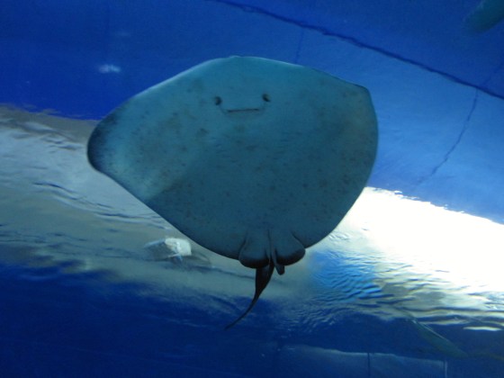 I like to think he's smiling at me