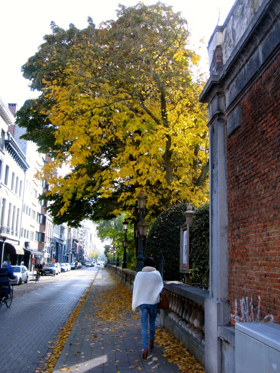 On the way to the Botanical Gardens