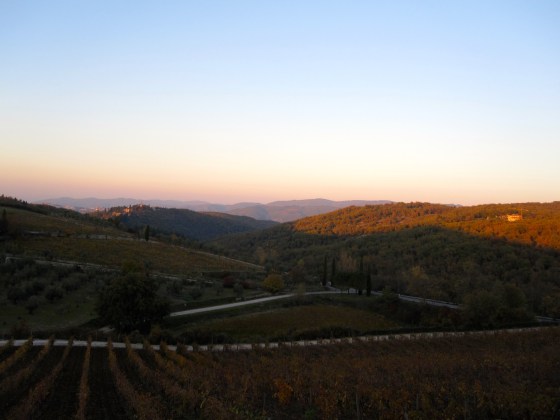 Sun setting over the vineyards