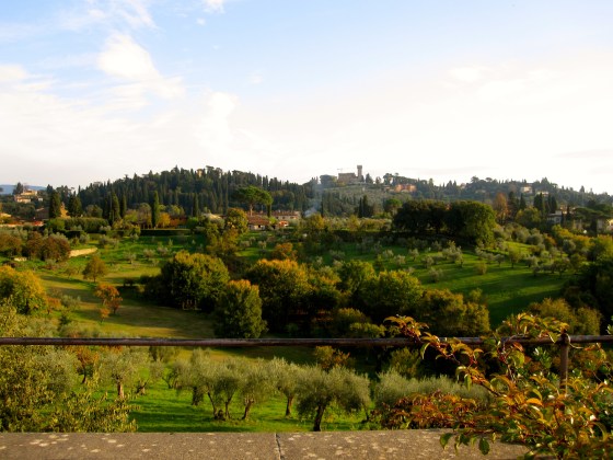 View from the Rose Garden